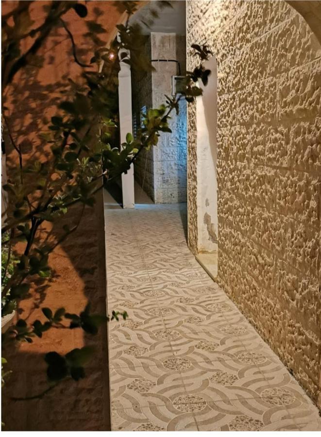 Orchid Apartment Wadi Musa Extérieur photo